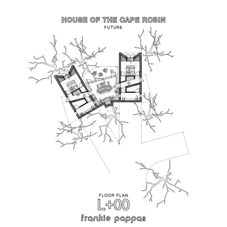 House of the Cape Robin